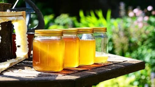 Med i proizvodi od meda velika izvozna šansa Srbije